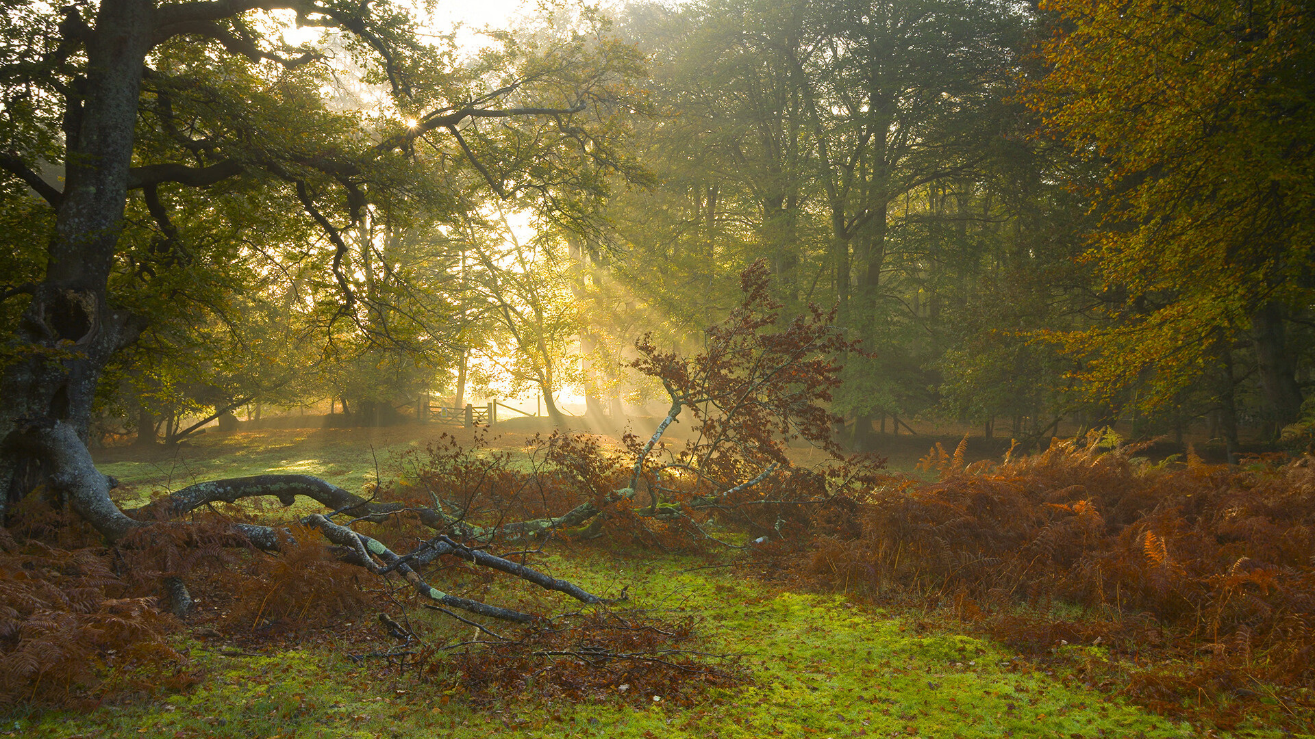 “简阳文体中心：飞扬的羽毛球赛场点燃全场热情”