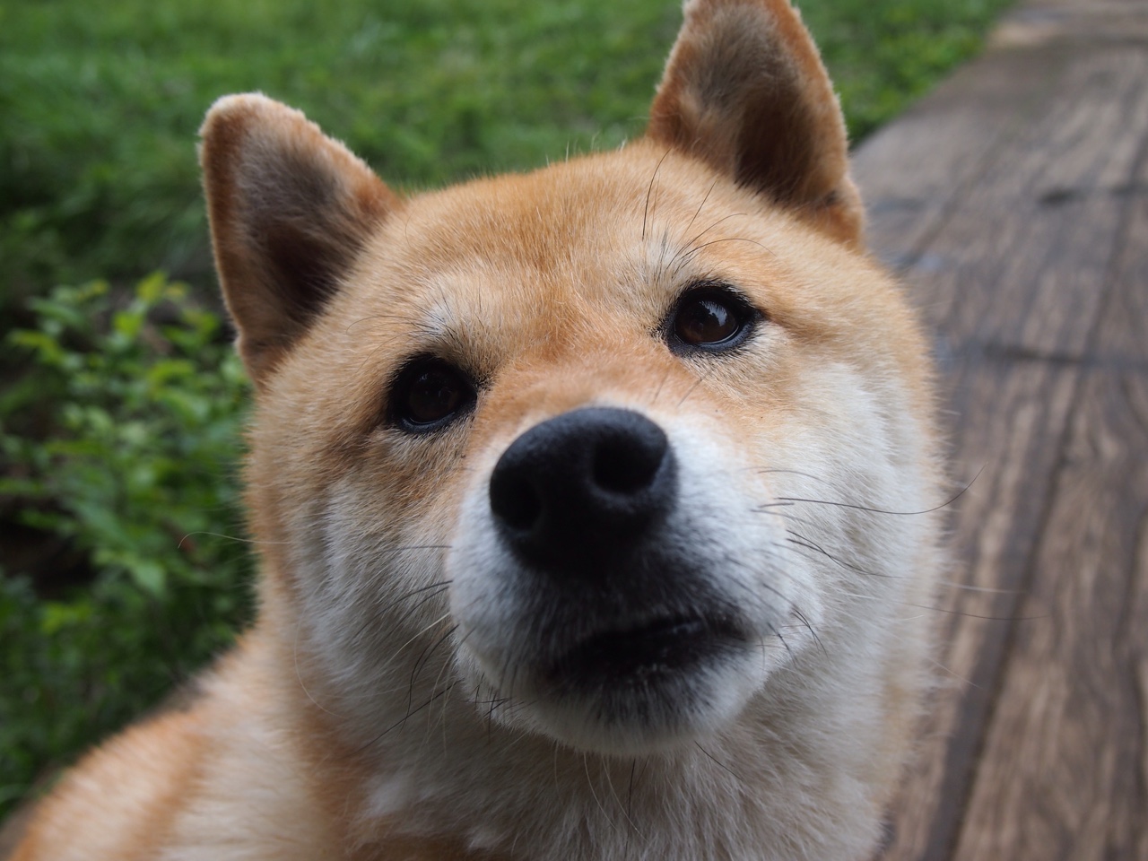 世界杯中国队晋级 球员信心不断提升,世界杯中国队晋级 球员信心不断提升的原因