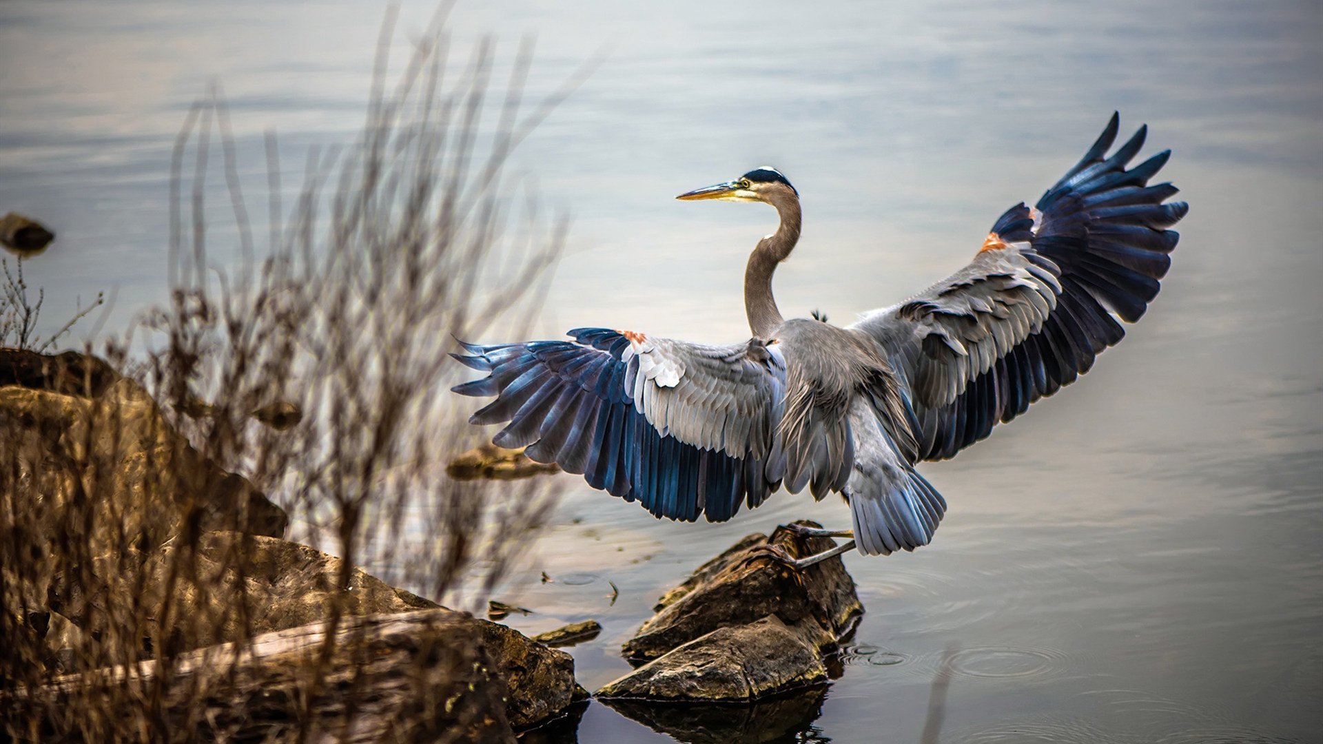 东亚杯中国青年队战胜 球迷齐声喝彩，东亚杯中国队名单