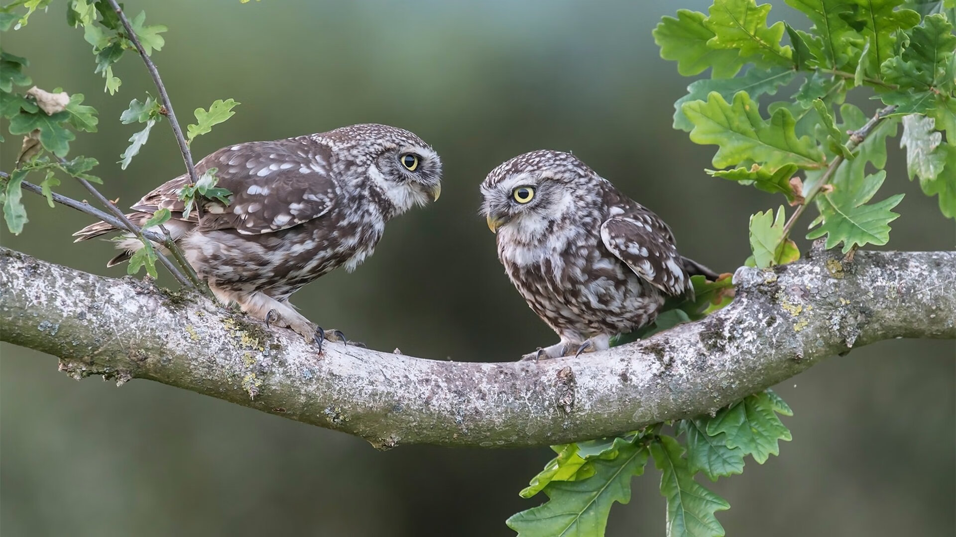 Kaiyun(中国)开云-拜仁强化球员心理素质，备战高压比赛，拜仁标准