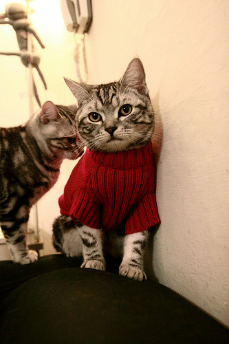 拜仁强化球员心理素质,备战高压比赛,拜仁标准