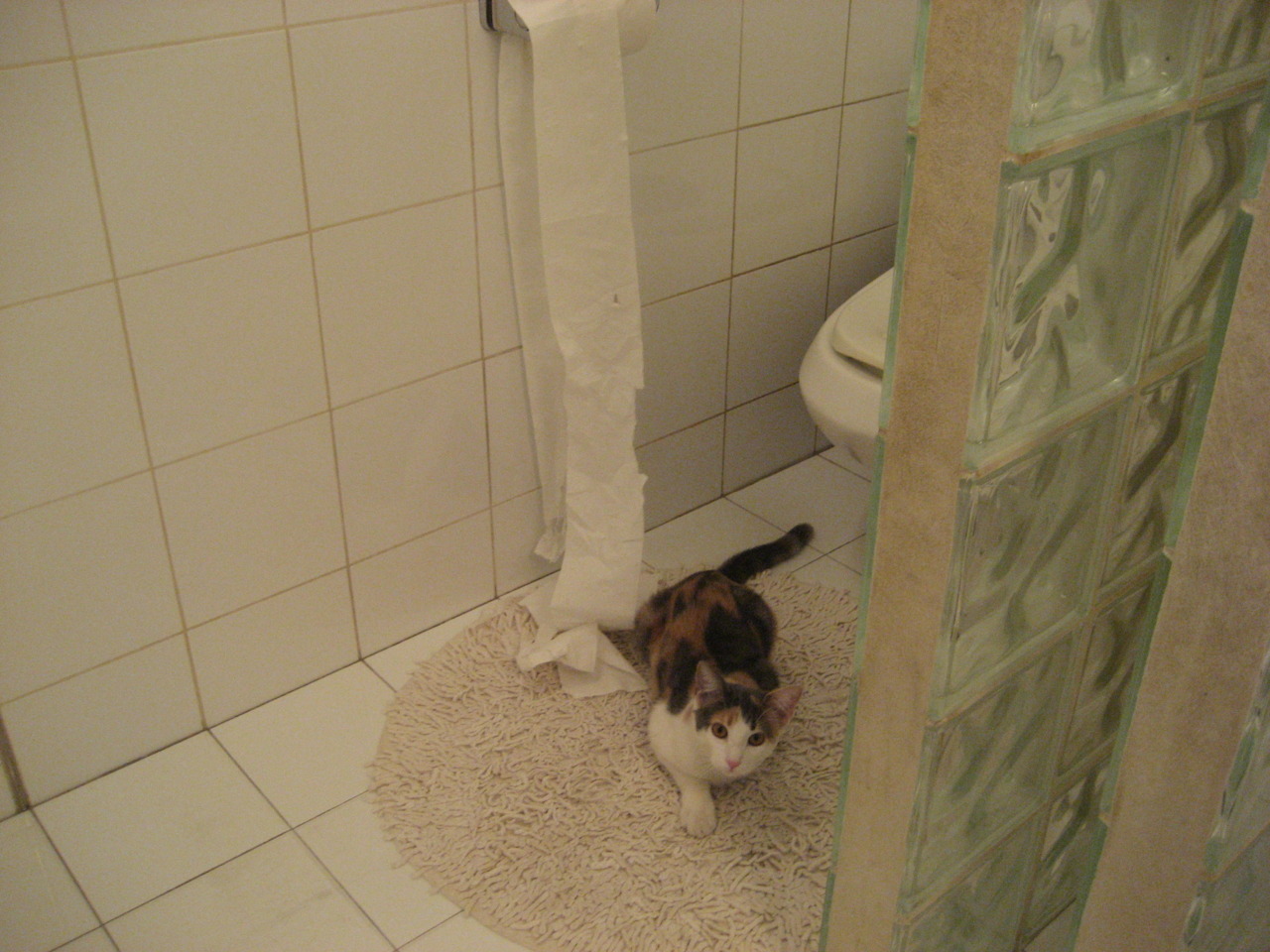 王者荣耀赛事热度不减成为主流观赛选择,王者荣耀 观赛