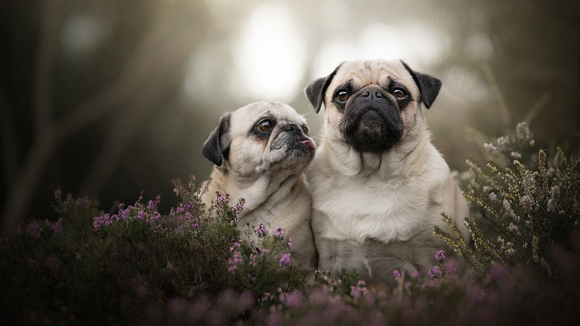 开云官方网站-稳定射手与情绪型球员谁更适合关键战，稳定射手和神射手