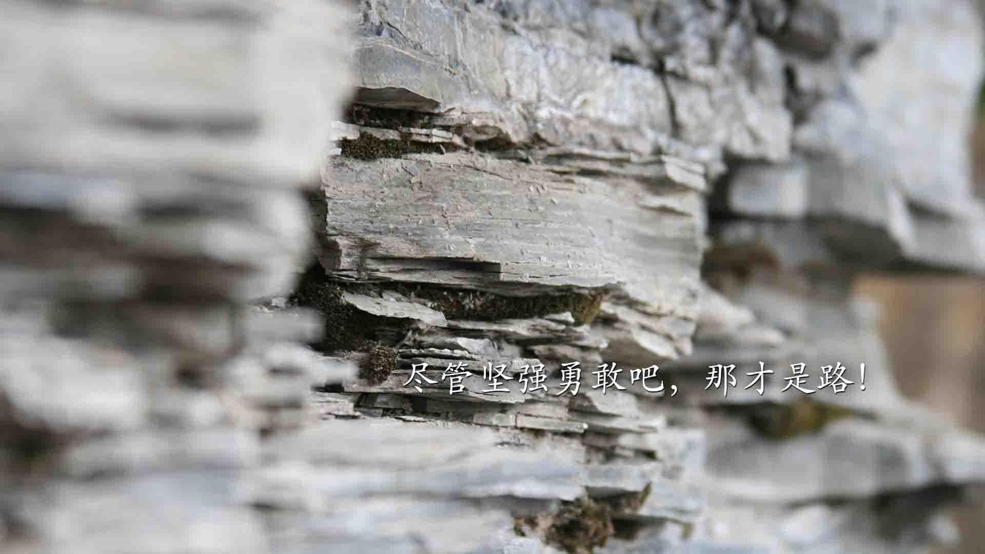 运动科技赋能体教融合发展新模式，运动科技赋能体教融合发展新模式是什么