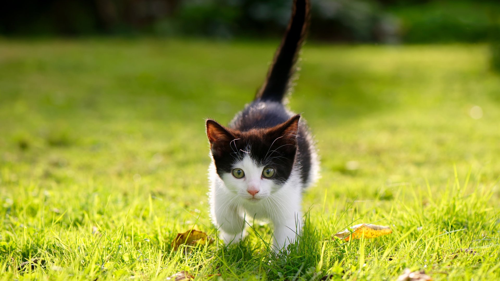 马竞中路集结控制比赛节奏主导权，马竞战术