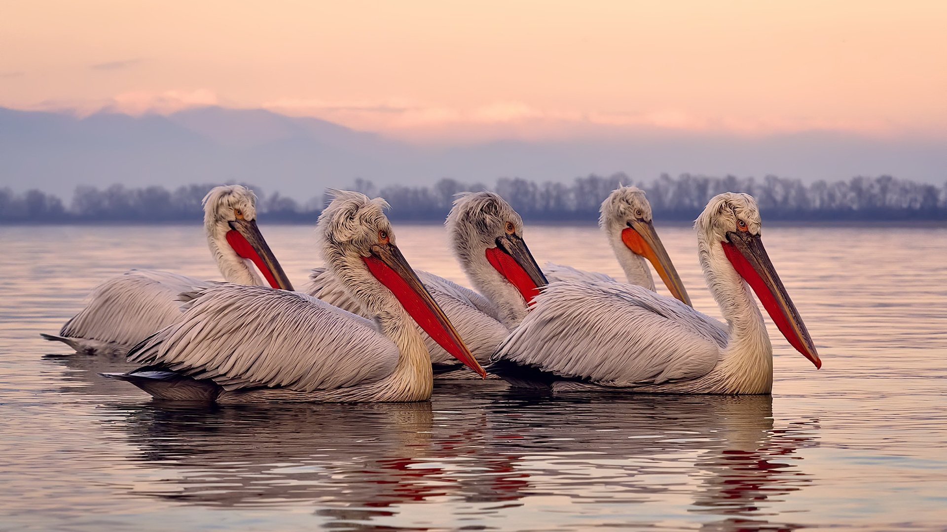 开云体育视频直播-中国足球联赛转播版权价值持续攀升，中国转播足球赛是几几年开始