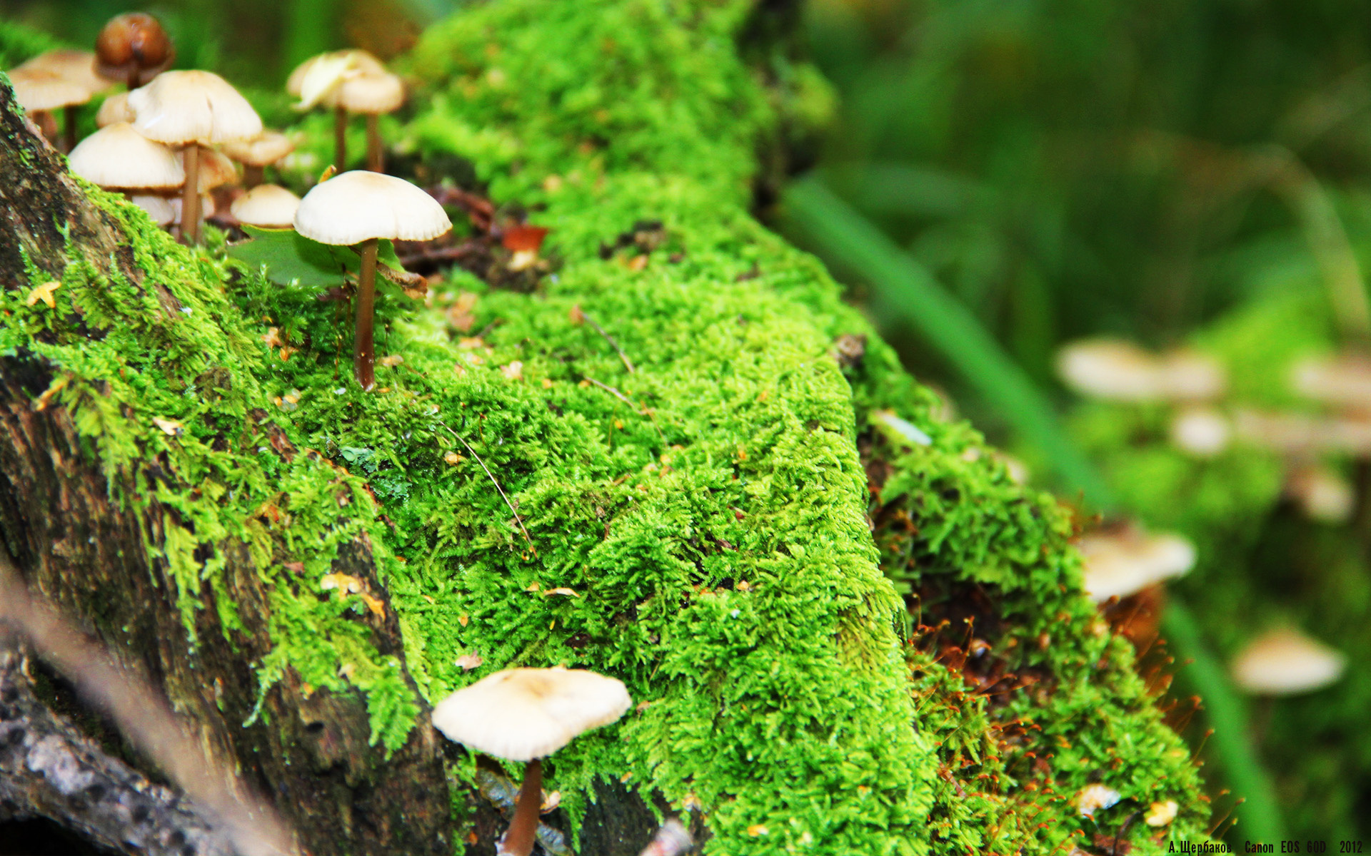 开云官方网站-中国足球职业联赛引入裁判情境决策演练系统，中国足协裁判培训