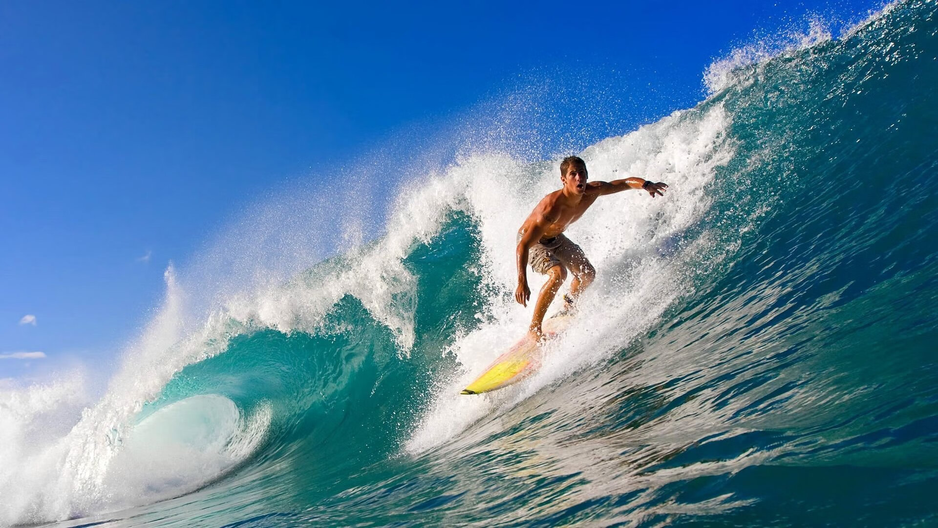 南非橄榄球：借助年轻球员力量，继续引领世界橄榄球，南非橄榄球队服