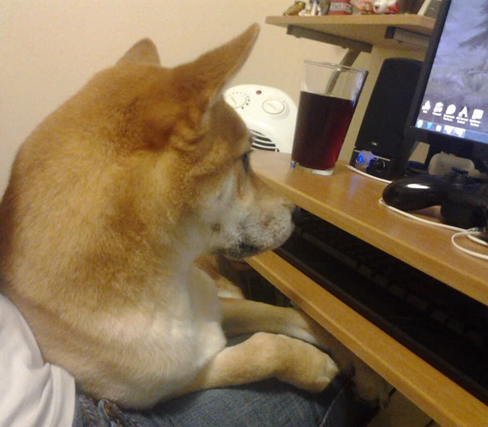 国际曲棍球锦标赛热力开赛，2020年曲棍球锦标赛