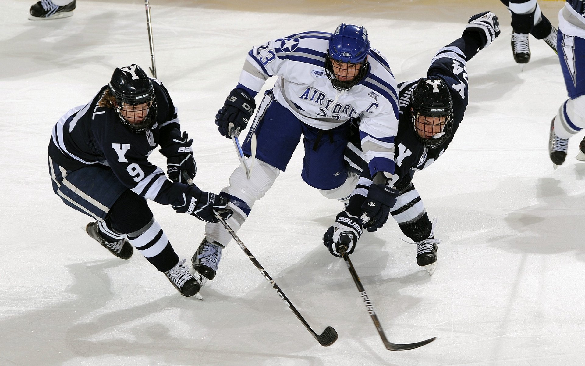 主场票务系统优化减少拥堵提升观众入场效率，场馆票务