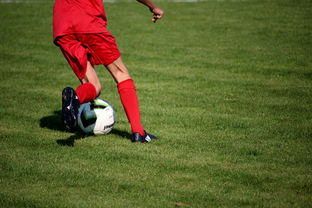 足球场馆数字化管理平台正式上线，提升运营效率，足球场管理系统app
